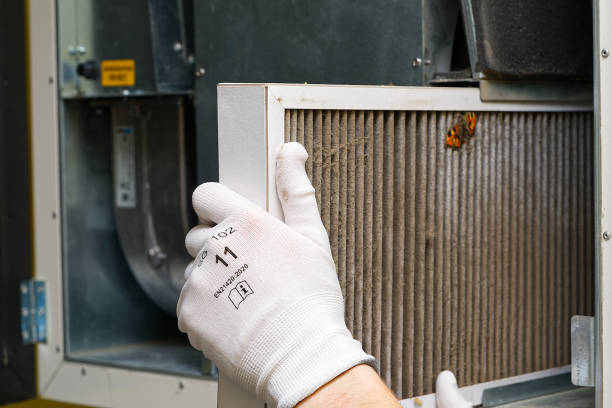 Best Ductwork Cleaning Services  in Cabana Colony, FL