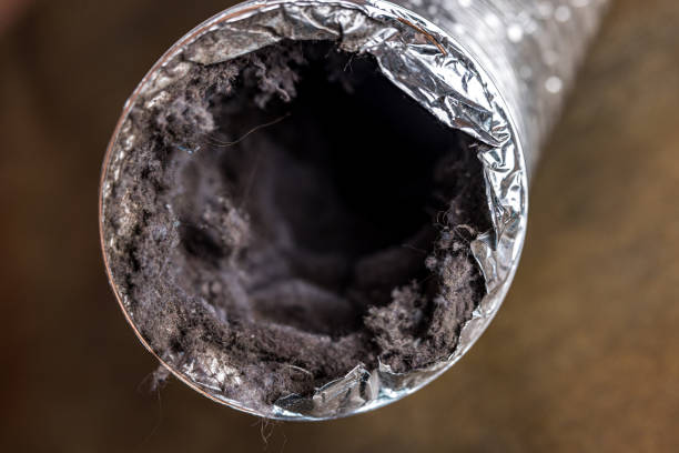 Best Duct Cleaning for Offices  in Cabana Colony, FL